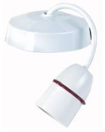 Eaton F1260 BC3 pendant set for low energy lamps 4” drop White